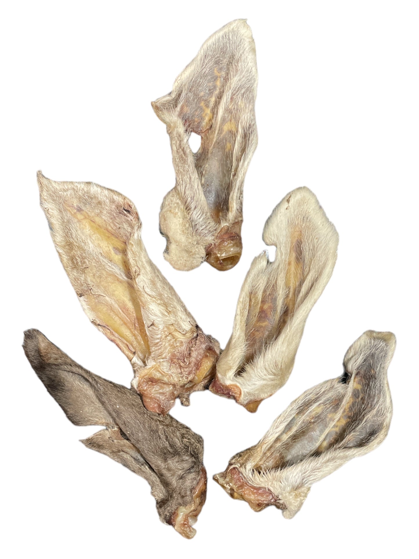 Lamb Ear