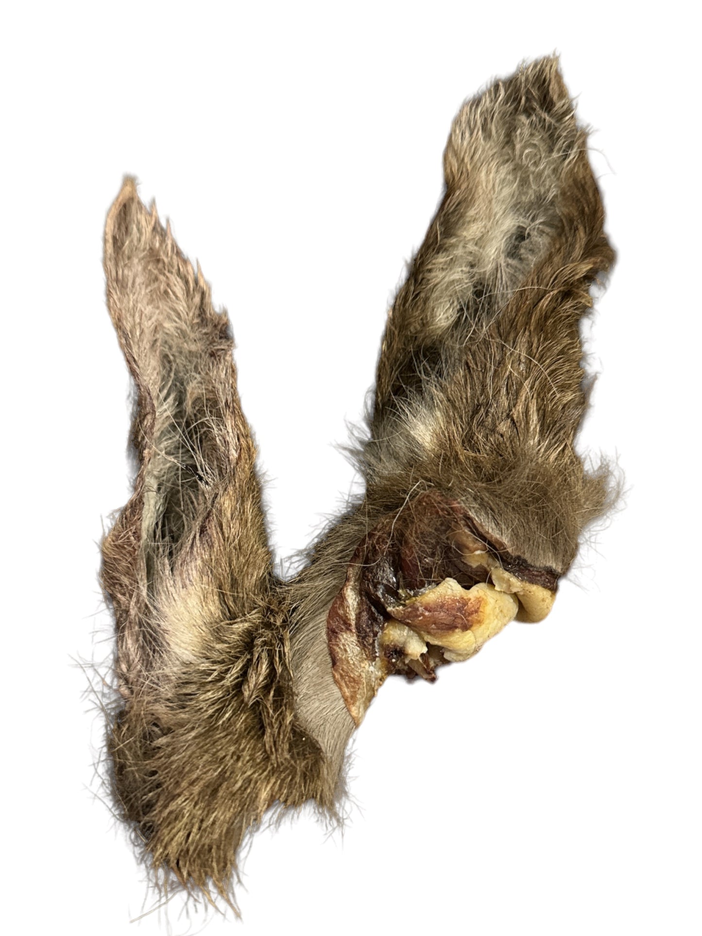 Tasmanian Venison Ears